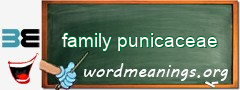 WordMeaning blackboard for family punicaceae